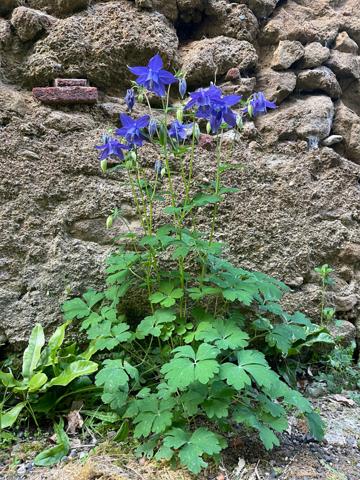Exclusivité : Maison de villede type T4 avec patio et cave.