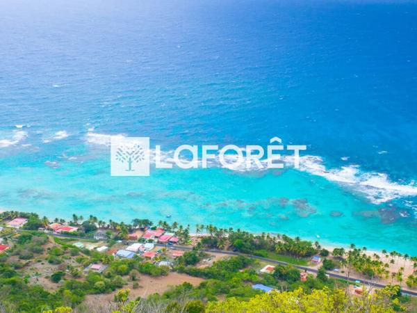 Achat terrain La Désirade - 620 m² - 99 000 €