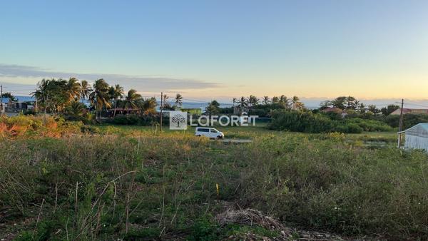 Achat terrain La Désirade - 620 m² - 99 000 €