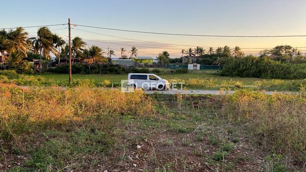 Achat terrain La Désirade - 620 m² - 99 000 €