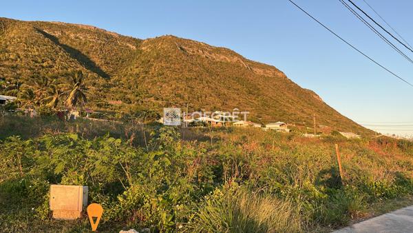 Achat terrain La Désirade - 620 m² - 99 000 €