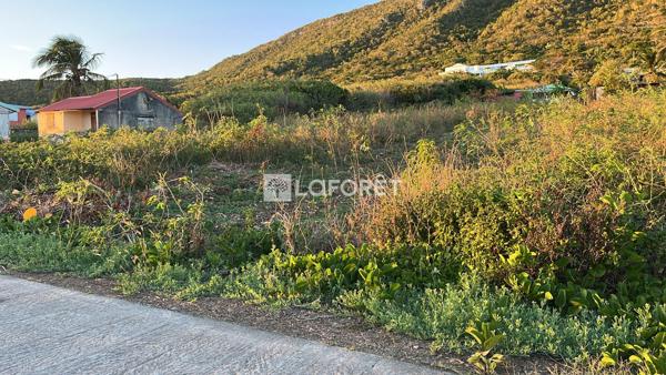 Achat terrain La Désirade - 620 m² - 99 000 €