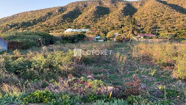 Achat terrain La Désirade - 620 m² - 99 000 €