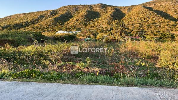 Achat terrain La Désirade - 620 m² - 99 000 €