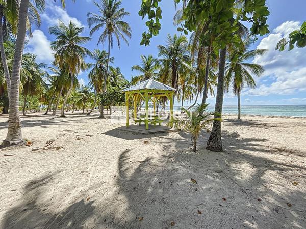 Achat terrain La Désirade - 620 m² - 99 000 €
