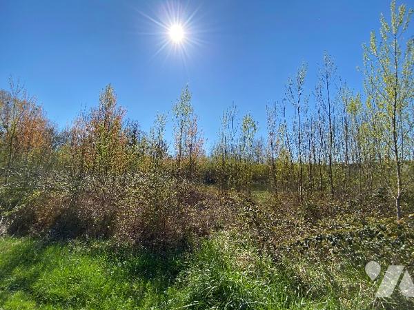 Terrain avec plan d'eau