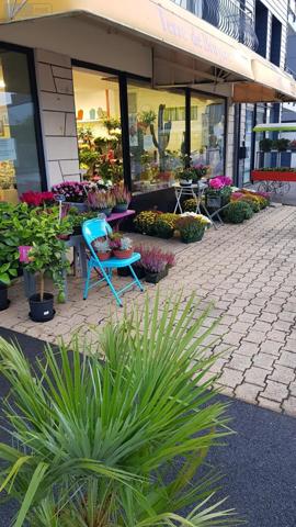 Fonds de commerce à vendre à Crozon dans le Finistère (29160), ref : MG