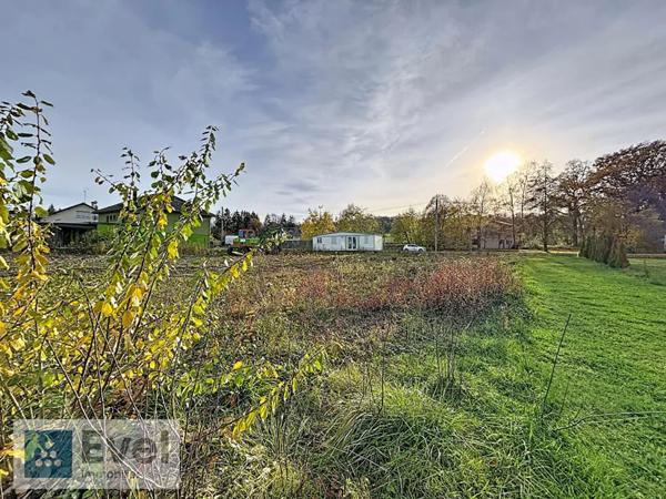 Terrain à vendre à Bénestroff (57670)