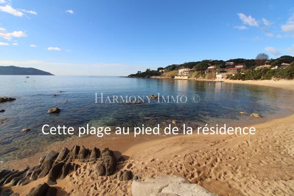 Vue mer imprenable – Pied dans l’eau