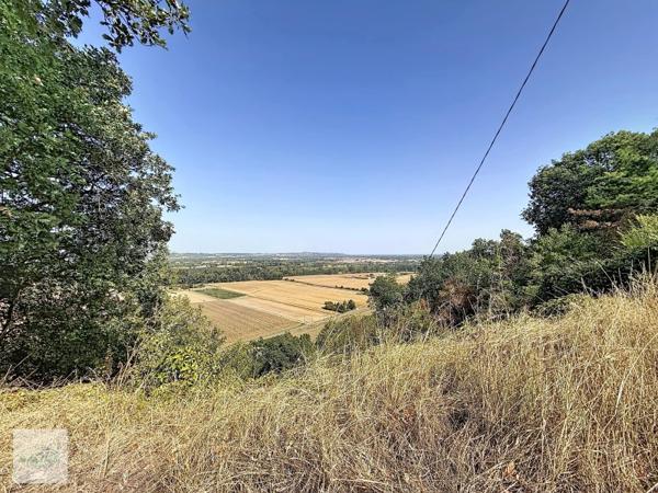 Vente / Maison avec dépendance à Auvillar (82340)