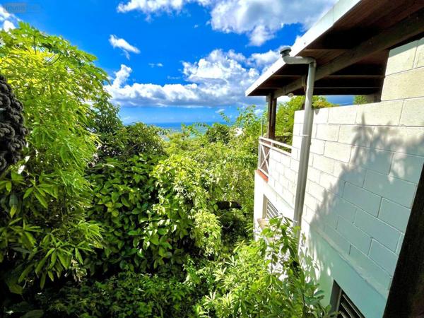 Maison individuelle à vendre à Saint-Paul à la Réunion (97460), ref : 97424/251   
BELLEMENE
