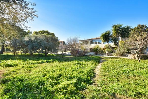 Bouzigues – Vue exceptionnelle sur le Mont Saint-Clair