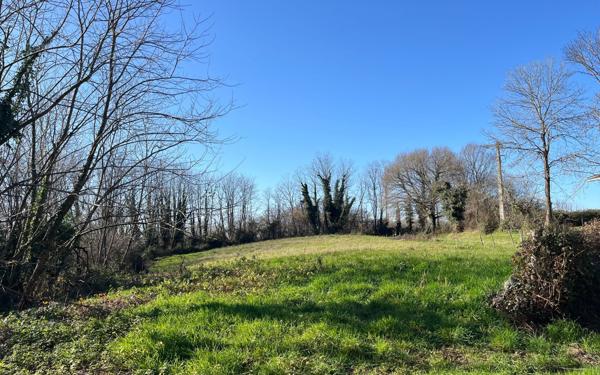 Maison à vendre    5 pièces •  Habas