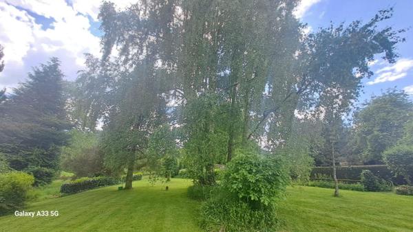 Propriété de 125 m² sur un parc de 5 hectares. Idéal passion nature & chevaux