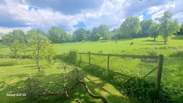 Propriété de 125 m² sur un parc de 5 hectares. Idéal passion nature & chevaux