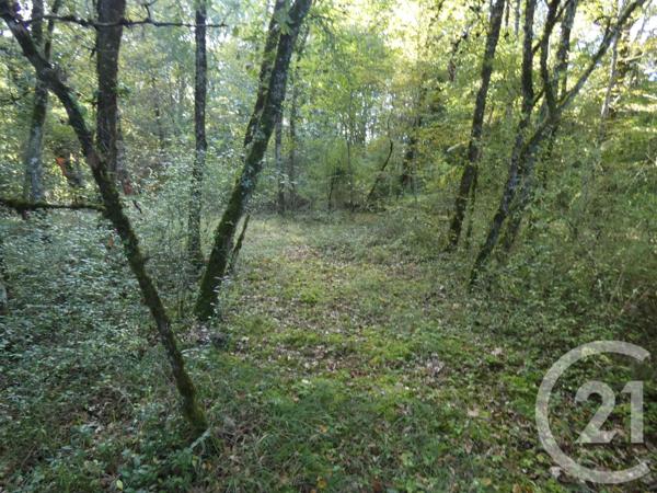 Terrain à vendre  1255 m2 BALADOU - 46