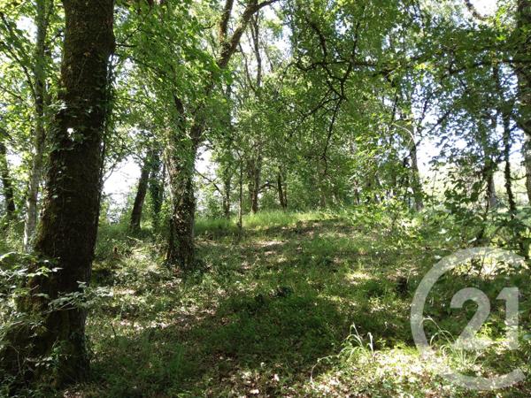 Terrain à vendre  1255 m2 BALADOU - 46