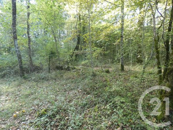 Terrain à vendre  1255 m2 BALADOU - 46
