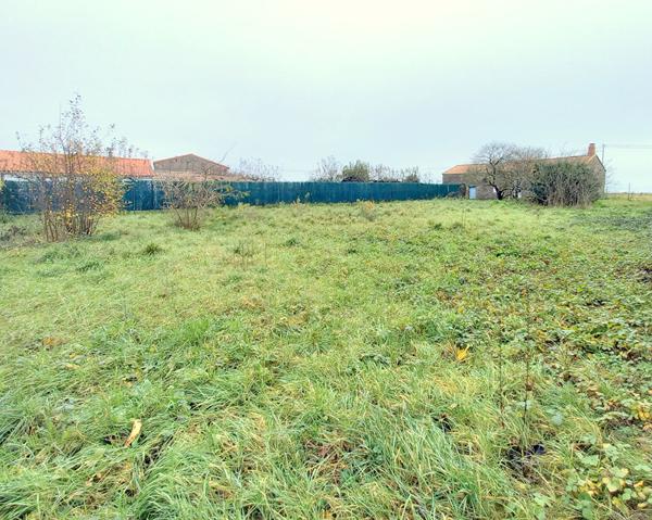 Terrain de près de 600m² - second rideau - hors lotissement - LE LOROUX BOTTEREAU
