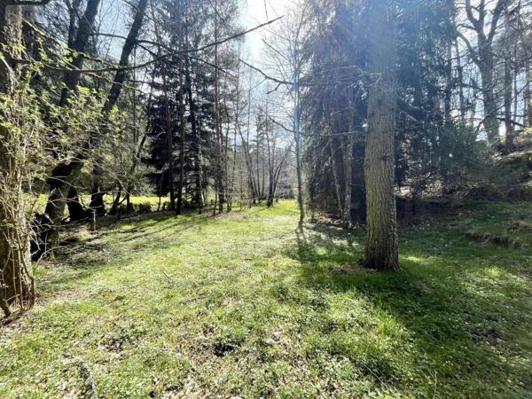 Maison à vendre à Saint-Just dans le Cantal (15320), ref : 48032-163