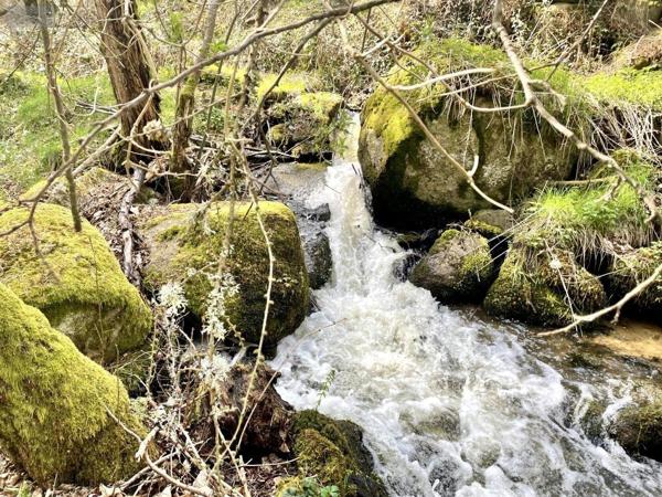 Maison à vendre à Saint-Just dans le Cantal (15320), ref : 48032-163