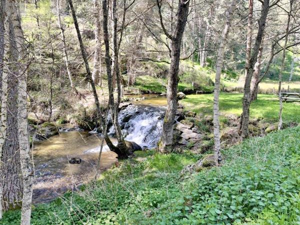 Maison à vendre à Saint-Just dans le Cantal (15320), ref : 48032-163