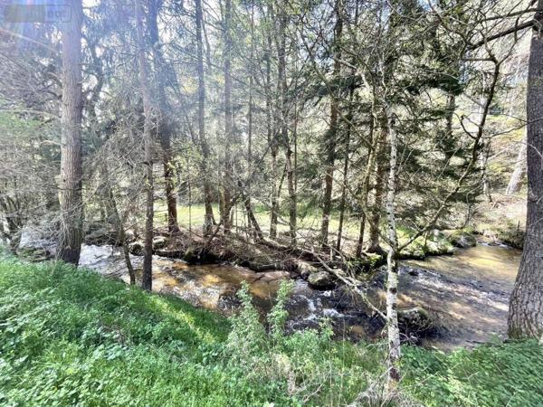 Maison à vendre à Saint-Just dans le Cantal (15320), ref : 48032-163