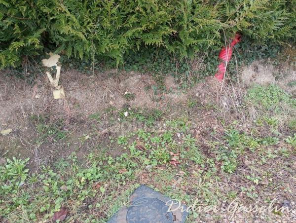 Terrain à vendre SAINT HILAIRE SUR ERRE (61)