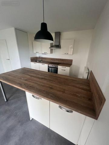 Appartement à vendre à Loos dans le Nord (59120), ref : 59196-39