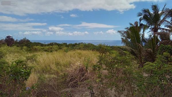 Maison à vendre à Saint-Benoît à la Réunion (97470), ref :