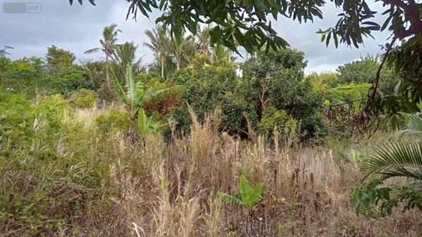 Maison à vendre à Saint-Benoît à la Réunion (97470), ref :