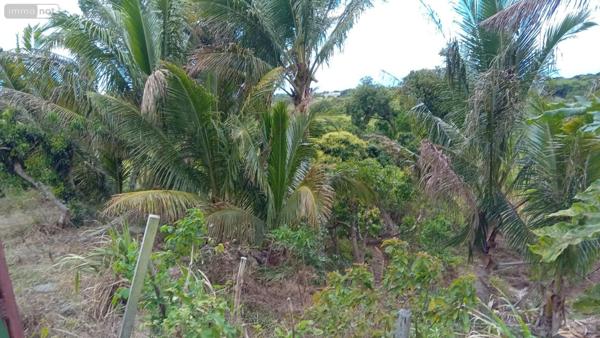 Maison à vendre à Saint-Benoît à la Réunion (97470), ref :