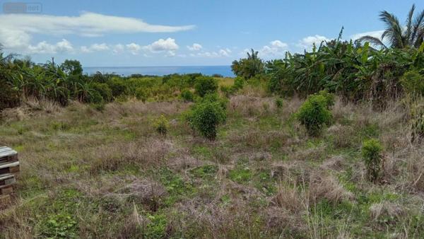 Maison à vendre à Saint-Benoît à la Réunion (97470), ref :