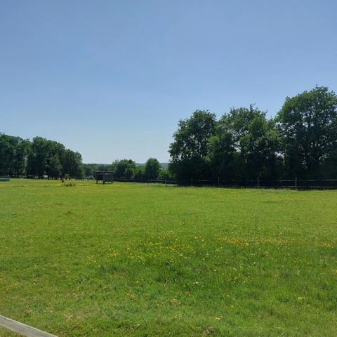 Maison à vendre 7 pièces VAISSAC (82), corps de ferme sur 26873m² de terrain avec box et nombreuses dépendances.