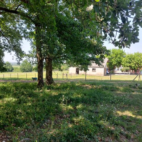 Maison à vendre 7 pièces VAISSAC (82), corps de ferme sur 26873m² de terrain avec box et nombreuses dépendances.