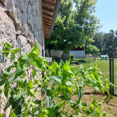 Maison à vendre 7 pièces VAISSAC (82), corps de ferme sur 26873m² de terrain avec box et nombreuses dépendances.