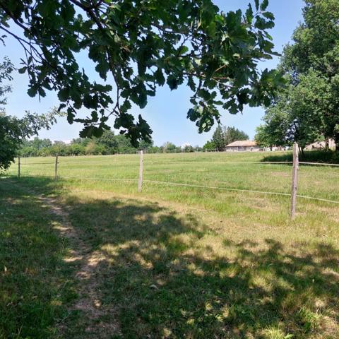 Maison à vendre 7 pièces VAISSAC (82), corps de ferme sur 26873m² de terrain avec box et nombreuses dépendances.