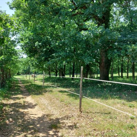Maison à vendre 7 pièces VAISSAC (82), corps de ferme sur 26873m² de terrain avec box et nombreuses dépendances.