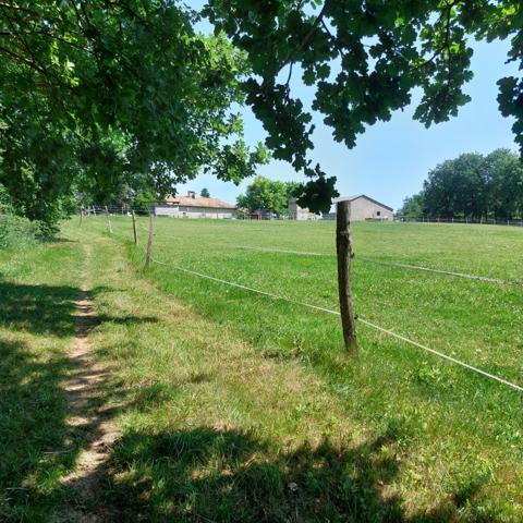 Maison à vendre 7 pièces VAISSAC (82), corps de ferme sur 26873m² de terrain avec box et nombreuses dépendances.