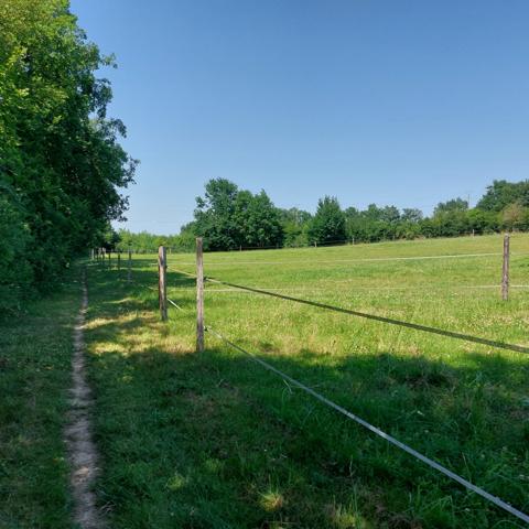 Maison à vendre 7 pièces VAISSAC (82), corps de ferme sur 26873m² de terrain avec box et nombreuses dépendances.