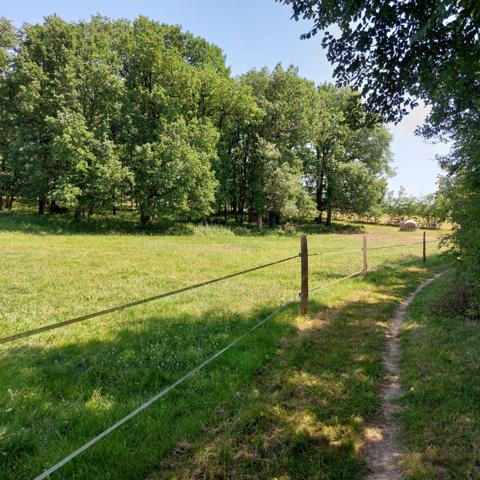 Maison à vendre 7 pièces VAISSAC (82), corps de ferme sur 26873m² de terrain avec box et nombreuses dépendances.