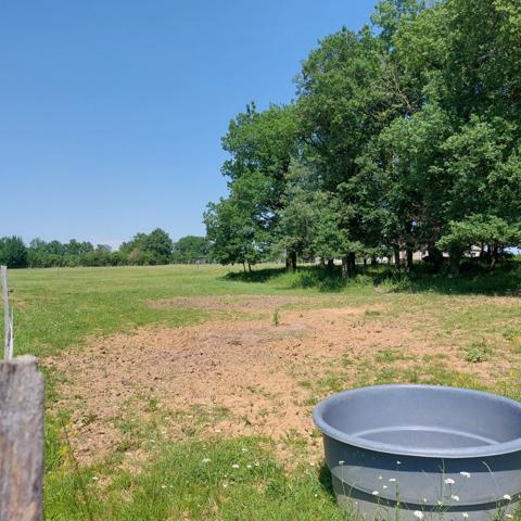 Maison à vendre 7 pièces VAISSAC (82), corps de ferme sur 26873m² de terrain avec box et nombreuses dépendances.