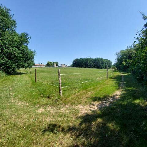 Maison à vendre 7 pièces VAISSAC (82), corps de ferme sur 26873m² de terrain avec box et nombreuses dépendances.