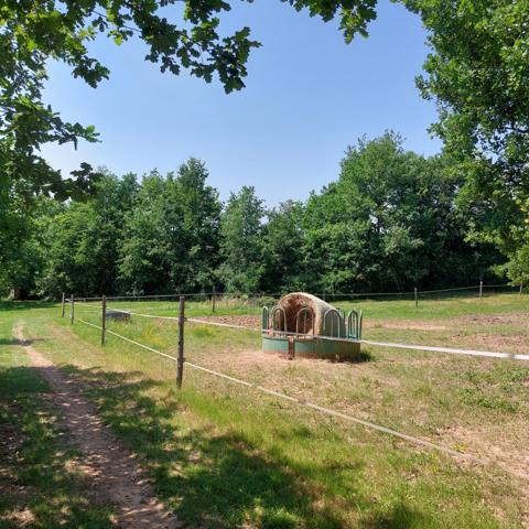 Maison à vendre 7 pièces VAISSAC (82), corps de ferme sur 26873m² de terrain avec box et nombreuses dépendances.