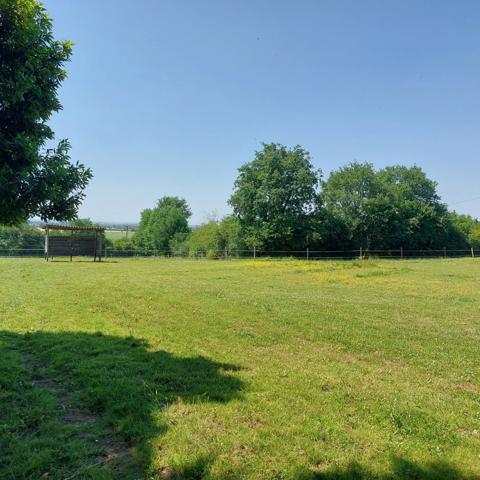 Maison à vendre 7 pièces VAISSAC (82), corps de ferme sur 26873m² de terrain avec box et nombreuses dépendances.