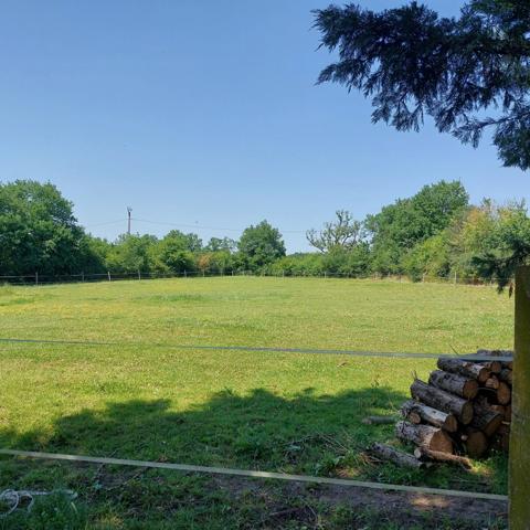 Maison à vendre 7 pièces VAISSAC (82), corps de ferme sur 26873m² de terrain avec box et nombreuses dépendances.
