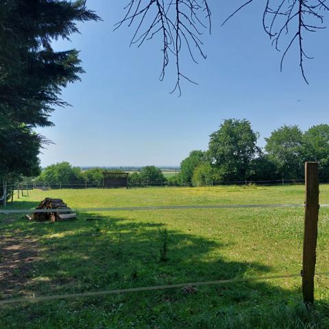 Maison à vendre 7 pièces VAISSAC (82), corps de ferme sur 26873m² de terrain avec box et nombreuses dépendances.