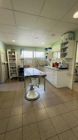 Bien immobilier à vendre de 313 m²