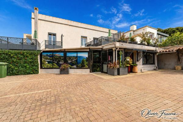 Hôtel particulier à vendre 15 pièces de 350 m²