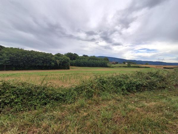 Ancienne ferme au cœur de la nature